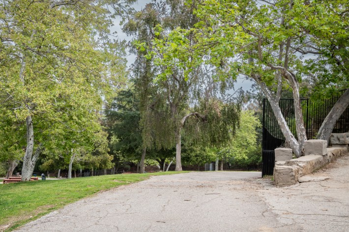 An empty road in The Old Zoo in L.A., with trees overhead and a stone wall flanked by iron gates.